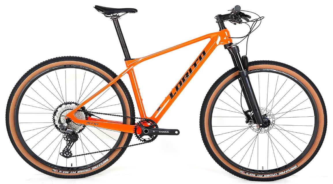 Lobito Mtb MT10 Naranja