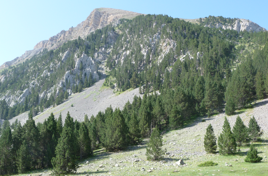 Mejor Pantalón Trekking Hombre